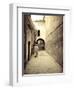 Morocco, Marrakech, Medina (Old Town)-Michele Falzone-Framed Premium Photographic Print