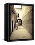 Morocco, Marrakech, Medina (Old Town)-Michele Falzone-Framed Stretched Canvas