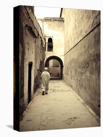 Morocco, Marrakech, Medina (Old Town)-Michele Falzone-Stretched Canvas