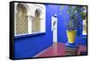 Morocco, Marrakech, Potted Garden Courtyard-Emily Wilson-Framed Stretched Canvas