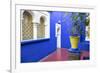 Morocco, Marrakech, Potted Garden Courtyard-Emily Wilson-Framed Photographic Print