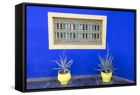 Morocco, Marrakech, Potted Succulent Plants Outside a Blue Building-Emily Wilson-Framed Stretched Canvas