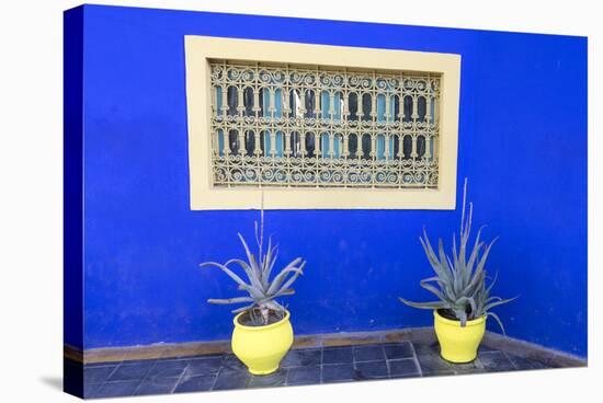 Morocco, Marrakech, Potted Succulent Plants Outside a Blue Building-Emily Wilson-Stretched Canvas