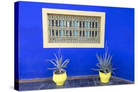 Morocco, Marrakech, Potted Succulent Plants Outside a Blue Building-Emily Wilson-Stretched Canvas