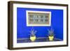 Morocco, Marrakech, Potted Succulent Plants Outside a Blue Building-Emily Wilson-Framed Photographic Print