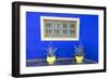 Morocco, Marrakech, Potted Succulent Plants Outside a Blue Building-Emily Wilson-Framed Photographic Print