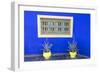 Morocco, Marrakech, Potted Succulent Plants Outside a Blue Building-Emily Wilson-Framed Photographic Print