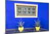 Morocco, Marrakech, Potted Succulent Plants Outside a Blue Building-Emily Wilson-Mounted Photographic Print