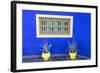 Morocco, Marrakech, Potted Succulent Plants Outside a Blue Building-Emily Wilson-Framed Photographic Print