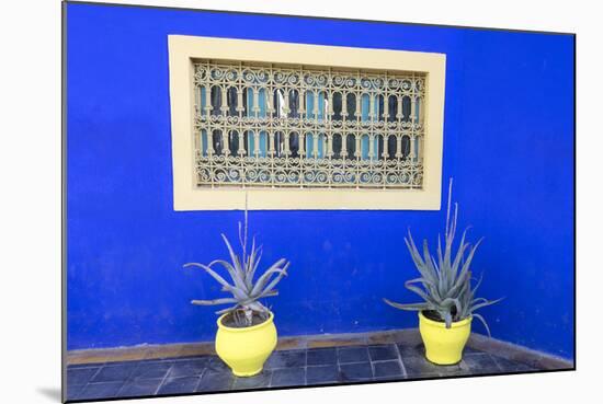 Morocco, Marrakech, Potted Succulent Plants Outside a Blue Building-Emily Wilson-Mounted Photographic Print