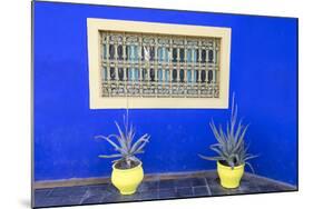 Morocco, Marrakech, Potted Succulent Plants Outside a Blue Building-Emily Wilson-Mounted Photographic Print