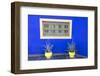 Morocco, Marrakech, Potted Succulent Plants Outside a Blue Building-Emily Wilson-Framed Photographic Print