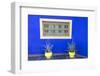 Morocco, Marrakech, Potted Succulent Plants Outside a Blue Building-Emily Wilson-Framed Photographic Print