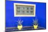 Morocco, Marrakech, Potted Succulent Plants Outside a Blue Building-Emily Wilson-Mounted Photographic Print