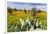 Morocco, Marrakech. Springtime landscape of flowers, olive trees and giant prickly pear cactus.-Brenda Tharp-Framed Photographic Print