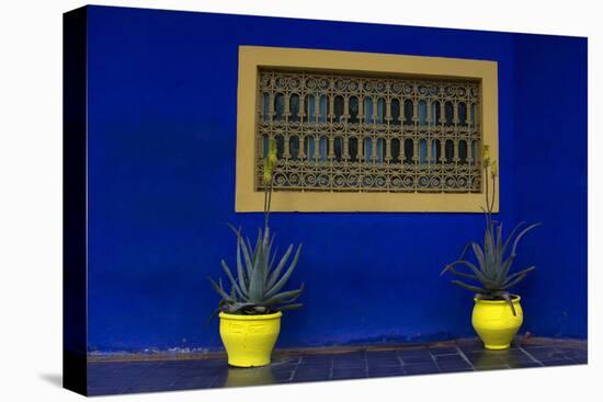 Morocco, Marrakech. Yves Saint Laurent's Jardin Majorelle-Kymri Wilt-Stretched Canvas