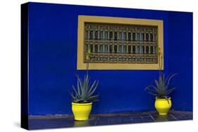 Morocco, Marrakech. Yves Saint Laurent's Jardin Majorelle-Kymri Wilt-Stretched Canvas