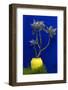 Morocco, Marrakech. Yves Saint Laurent's Jardin Majorelle-Kymri Wilt-Framed Photographic Print