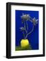 Morocco, Marrakech. Yves Saint Laurent's Jardin Majorelle-Kymri Wilt-Framed Photographic Print