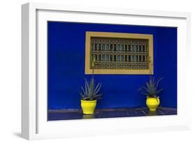 Morocco, Marrakech. Yves Saint Laurent's Jardin Majorelle-Kymri Wilt-Framed Photographic Print