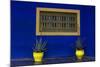 Morocco, Marrakech. Yves Saint Laurent's Jardin Majorelle-Kymri Wilt-Mounted Photographic Print