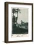 Morocco - Marrakesh - Cluster of Palmtrees-null-Framed Photographic Print