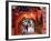 Morocco Marrakesh Medina Market at Place Djema El Fna-Christian Kober-Framed Photographic Print