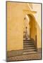 Morocco, Meknes, Interior of the Mosque Moulay Ismail-Andrea Pavan-Mounted Photographic Print