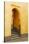 Morocco, Meknes. Mausoleum of Moulay Ismail Stairs-Kymri Wilt-Stretched Canvas