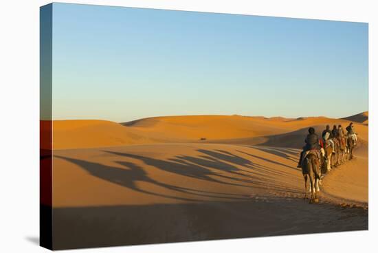 Morocco, Merzouga. Desert Caravan and Dromedaries-Michele Molinari-Stretched Canvas