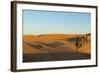 Morocco, Merzouga. Desert Caravan and Dromedaries-Michele Molinari-Framed Photographic Print