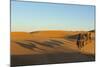 Morocco, Merzouga. Desert Caravan and Dromedaries-Michele Molinari-Mounted Photographic Print