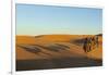 Morocco, Merzouga. Desert Caravan and Dromedaries-Michele Molinari-Framed Photographic Print