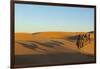 Morocco, Merzouga. Desert Caravan and Dromedaries-Michele Molinari-Framed Photographic Print