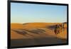 Morocco, Merzouga. Desert Caravan and Dromedaries-Michele Molinari-Framed Photographic Print