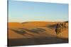 Morocco, Merzouga. Desert Caravan and Dromedaries-Michele Molinari-Stretched Canvas