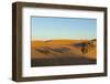 Morocco, Merzouga. Desert Caravan and Dromedaries-Michele Molinari-Framed Photographic Print