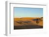 Morocco, Merzouga. Desert Caravan and Dromedaries-Michele Molinari-Framed Photographic Print