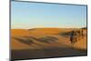 Morocco, Merzouga. Desert Caravan and Dromedaries-Michele Molinari-Mounted Photographic Print