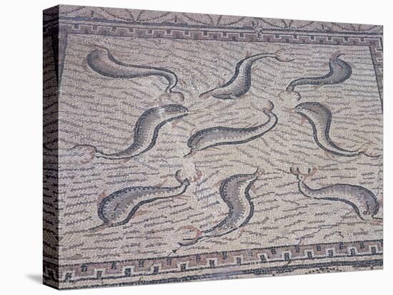 Morocco, North of Meknes, Volubilis, House of Orpheus, Mosaic with Nine Dolphins-null-Stretched Canvas