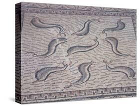 Morocco, North of Meknes, Volubilis, House of Orpheus, Mosaic with Nine Dolphins-null-Stretched Canvas
