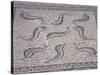 Morocco, North of Meknes, Volubilis, House of Orpheus, Mosaic with Nine Dolphins-null-Stretched Canvas