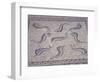 Morocco, North of Meknes, Volubilis, House of Orpheus, Mosaic with Nine Dolphins-null-Framed Giclee Print