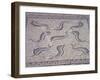 Morocco, North of Meknes, Volubilis, House of Orpheus, Mosaic with Nine Dolphins-null-Framed Giclee Print