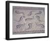 Morocco, North of Meknes, Volubilis, House of Orpheus, Mosaic with Nine Dolphins-null-Framed Giclee Print