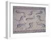 Morocco, North of Meknes, Volubilis, House of Orpheus, Mosaic with Nine Dolphins-null-Framed Giclee Print