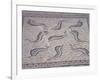 Morocco, North of Meknes, Volubilis, House of Orpheus, Mosaic with Nine Dolphins-null-Framed Giclee Print