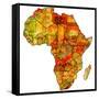 Morocco on Actual Map of Africa-michal812-Framed Stretched Canvas