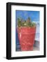 Morocco, Rabat, Sale, Kasbah Des Oudaias, Small Narrow Streets and Blue Neighborhood-Emily Wilson-Framed Photographic Print