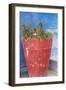 Morocco, Rabat, Sale, Kasbah Des Oudaias, Small Narrow Streets and Blue Neighborhood-Emily Wilson-Framed Photographic Print